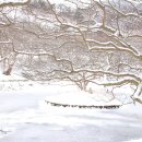 명옥헌원림2(입구) | 담양 겨울에 꼭 가볼만한 곳,명옥헌 원림