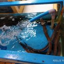 대양민물장어 이미지