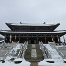 온달비디오 이미지