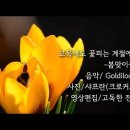 꽃 피는 계절 Daum카페