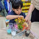 송림초등학교병설유치원 이미지