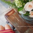 디자인모니크 이미지