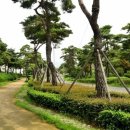 걷고 싶은 누리길 이미지