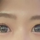 다뷰래쉬 이미지