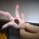 전국유통