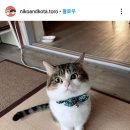 작고 소중해 이미지