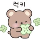김미현임대