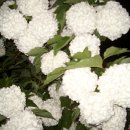 호박골농장 이미지