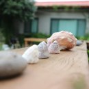 예촌민박 이미지