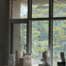 김선정헤어 | [2025년 8월] 대학원 1기, 그리고 여름방학
