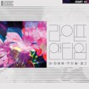 라이프앤