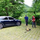 충북알프스자연휴양림 이미지