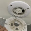 부영약품 이미지