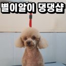 별이알이 댕댕샵 이미지