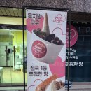 요거피플