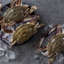 #클린짐 이미지