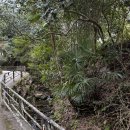 씨스페이스 미아3점 | 일본 여행 후기 : (5 - 6일차) 교토