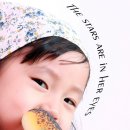 리틀트리 이미지