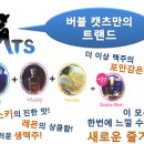 버블캣츠 이미지