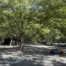 약초농원민박 이미지