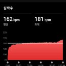 부여굿뜨래 마라톤 대회 전 16km지속주🏃‍♂️ 이미지