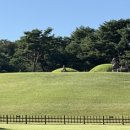 탐미 - 안산시 단원구 | 탐미