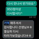 노금오 네이버블로그