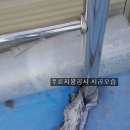 유성칼라