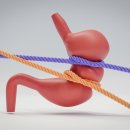 속편한장내과의원 이미지