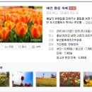 [벚꽃엔딩]2015 벚꽃축제 & 봄꽃축제 총정리 완결판!! 이미지