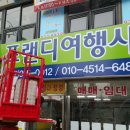 프랜디여행사