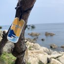 고래불국민야영장 이미지