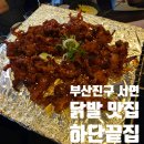 [일상] 부산 서면 하단끝집 방문후기(닭발이 맛있어 / 간단 회식)