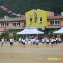 삼포초등학교 이미지