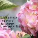 상업용 79 이미지