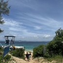 이케이푸드 | 부세나 해중공원, 츄라우미, 코우리, 오리온해피파크, 이케이비치-35개월 아가랑 / 호핑없이 물고기 보기)