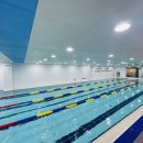 노블스위밍랩 이미지