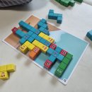 선명빌딩 | 넘버블록스 원목 빌딩블록 활동세트_유치원생 아이가 즐겨하는 수학교구 내돈내산 사용후기