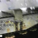 던킨도너츠중대