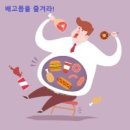 배고품을 즐겨라 이미지