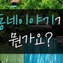 백목련 | 남양주 청학12리 마을회관 앞 백목련, 도로 대신 꽃이 남은 이유