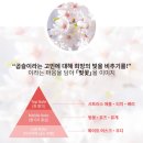 비어셀프 이미지