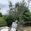 스카이엘씨 네이버블로그