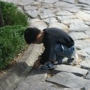 꿈꾸는세상지역아동센터 이미지