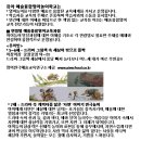 영어 그림책 놀이 이미지