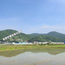 성산교(좌) 티스토리