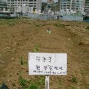 부흥중학교 이미지