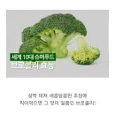 하나푸드 이미지