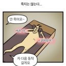 아이로지