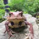 용추계곡입구 주차장 이미지